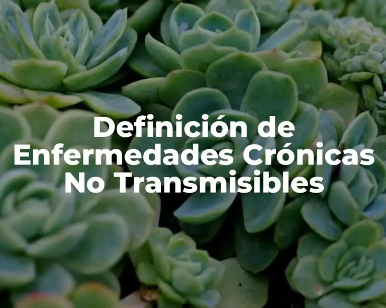 Definición de Enfermedades Crónicas No Transmisibles