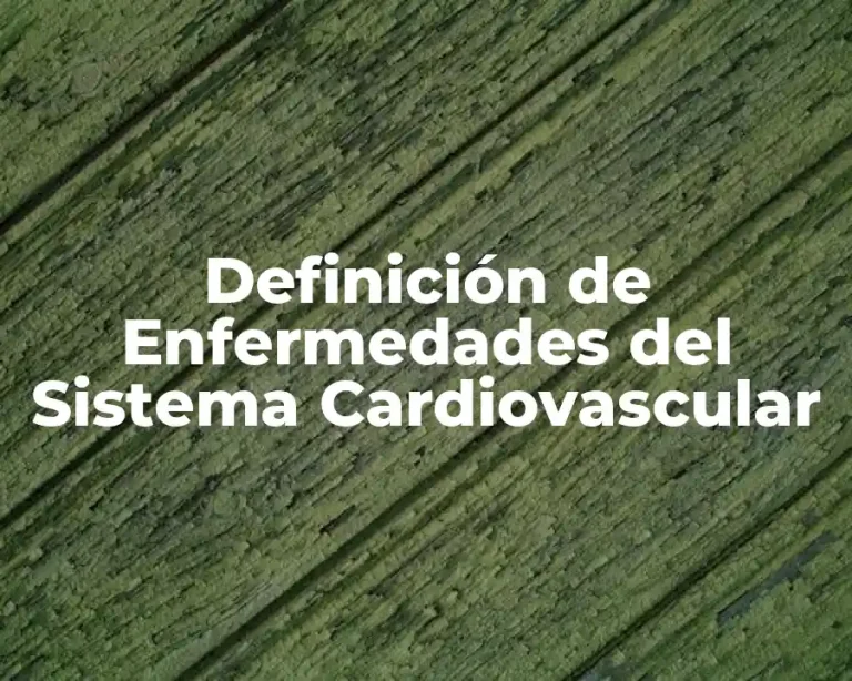 Definición de Enfermedades del Sistema Cardiovascular