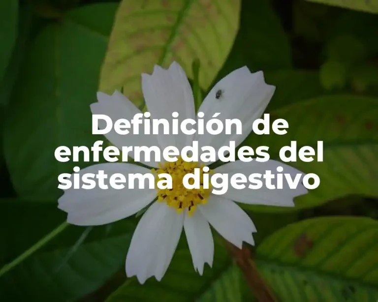 Definición de enfermedades del sistema digestivo