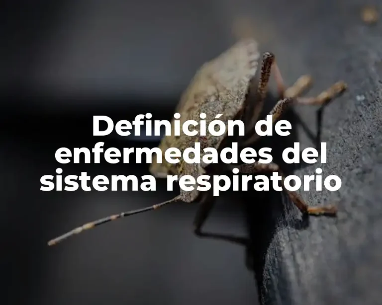 Definición de enfermedades del sistema respiratorio