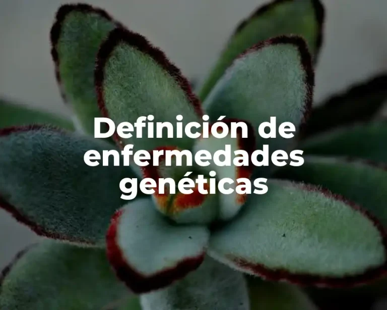 Definición de enfermedades genéticas