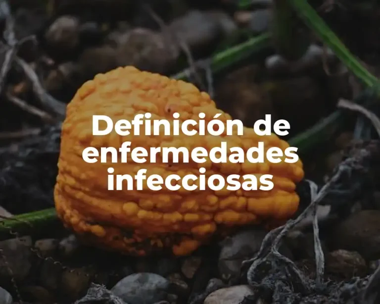 Definición de enfermedades infecciosas
