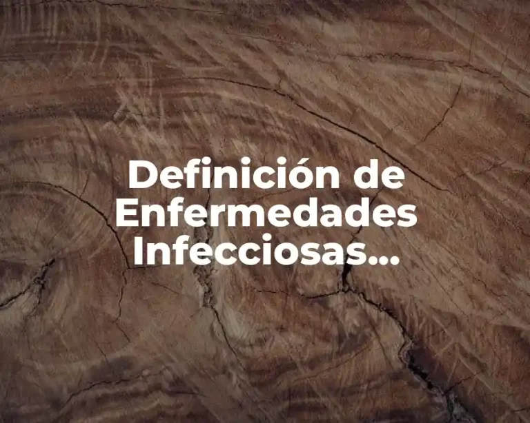 Definición de Enfermedades Infecciosas Alimentarias