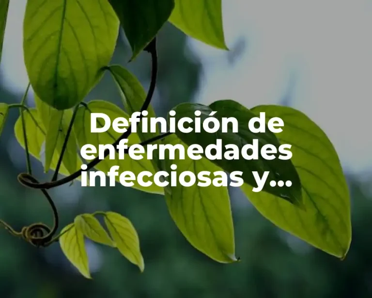 Definición de enfermedades infecciosas y parasitarias