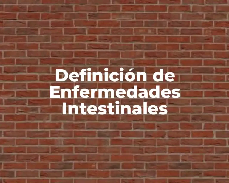 Definición de Enfermedades Intestinales