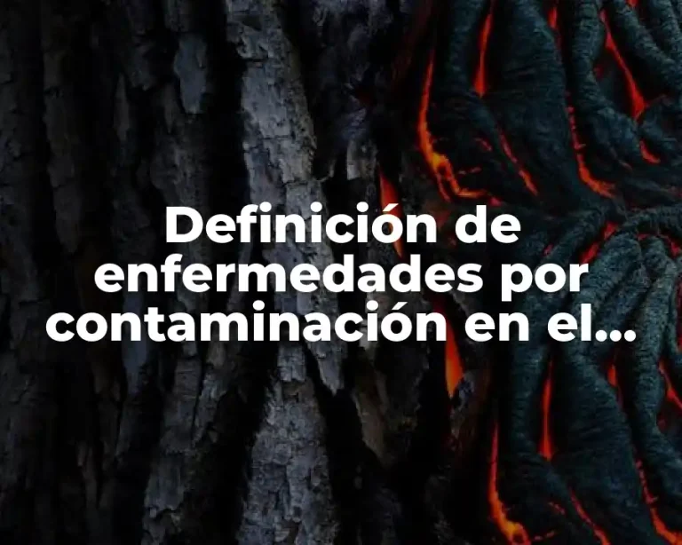 Definición de enfermedades por contaminación en el aire