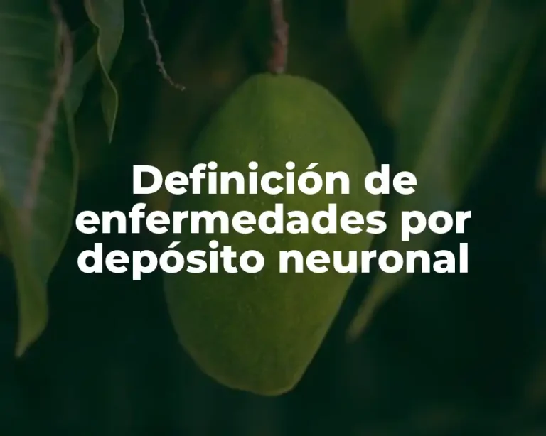 Definición de enfermedades por depósito neuronal