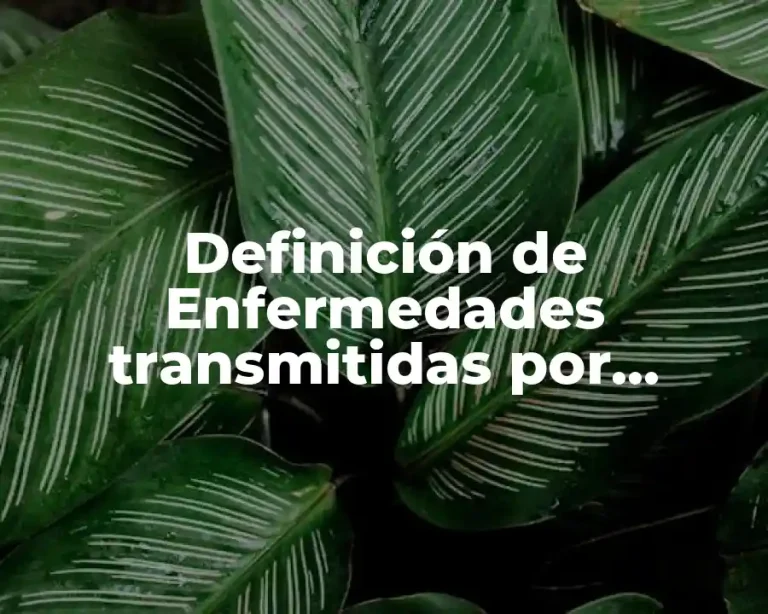 Definición de Enfermedades transmitidas por alimentos