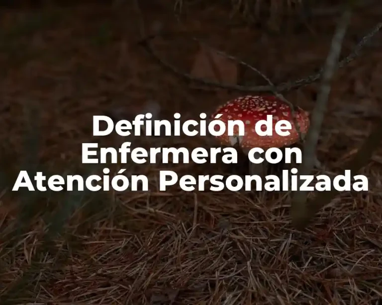 Definición de Enfermera con Atención Personalizada