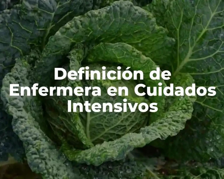 Definición de Enfermera en Cuidados Intensivos
