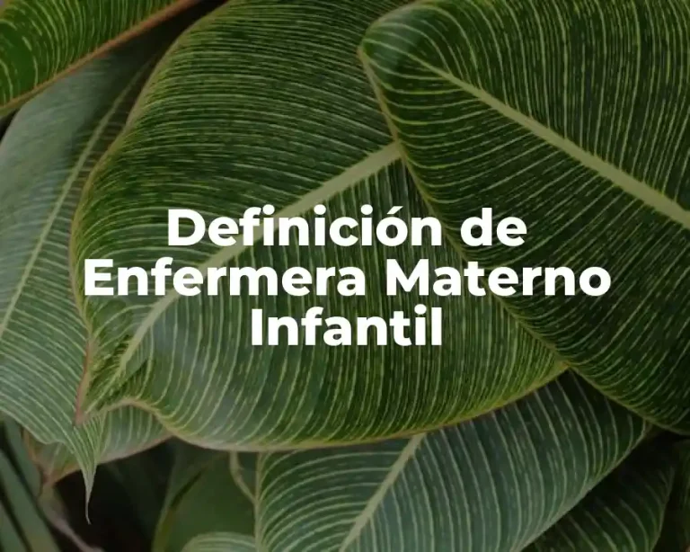 Definición de Enfermera Materno Infantil