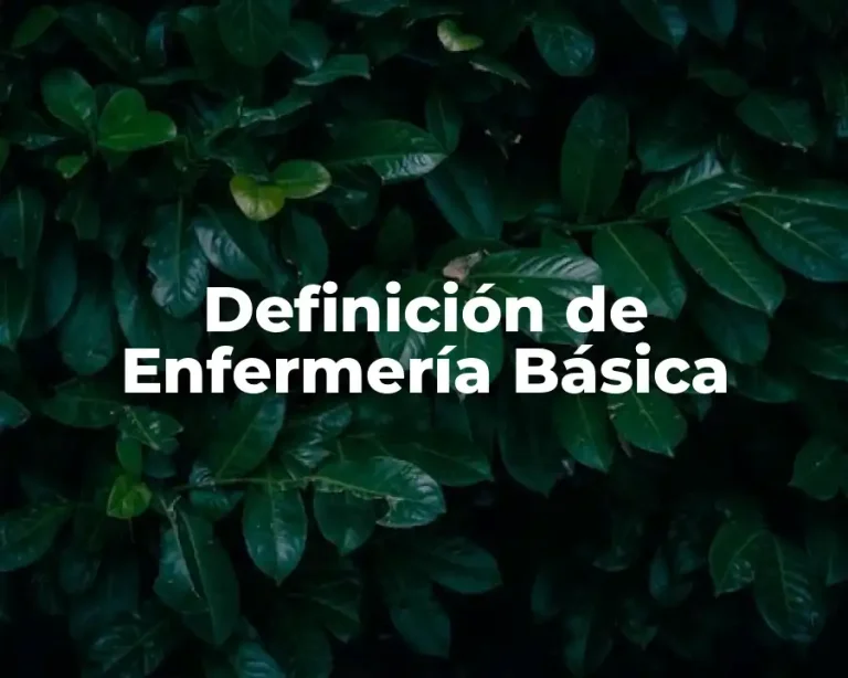 Definición de Enfermería Básica
