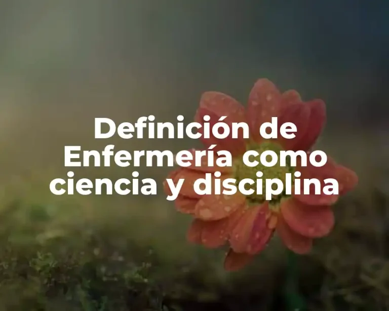 Definición de Enfermería como ciencia y disciplina