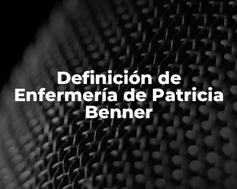 Definición de Enfermería de Patricia Benner