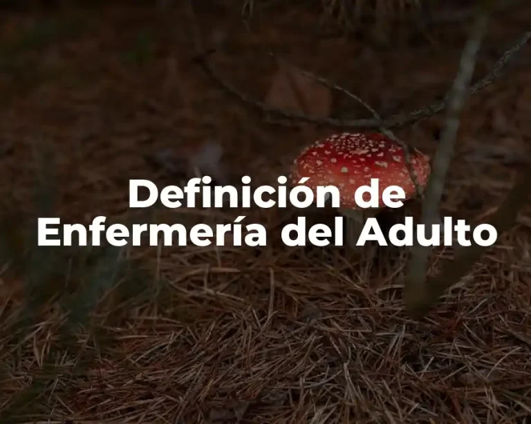 Definición de Enfermería del Adulto
