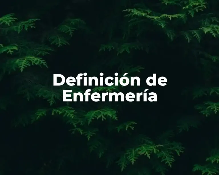 Definición de Enfermería