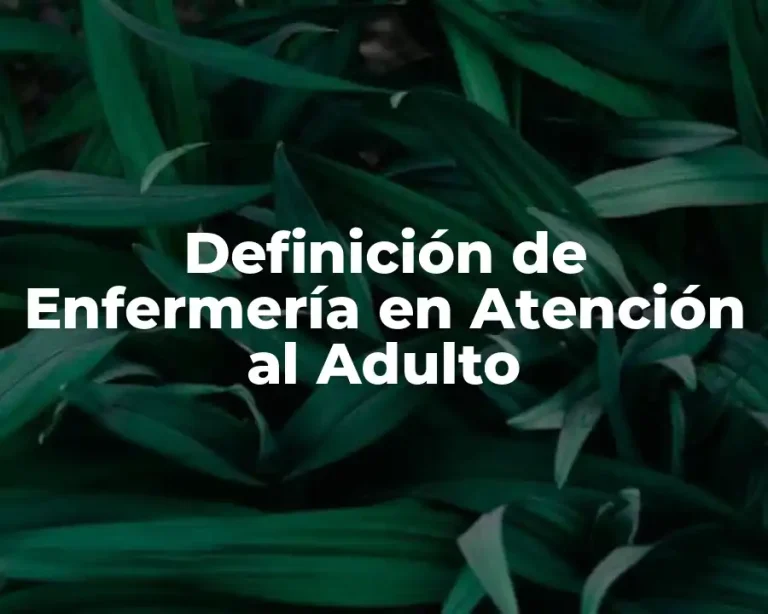 Definición de Enfermería en Atención al Adulto