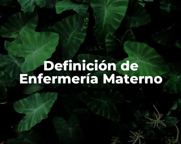 Definición de Enfermería Materno