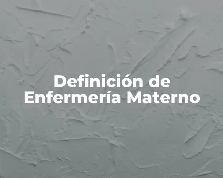 Definición de Enfermería Materno