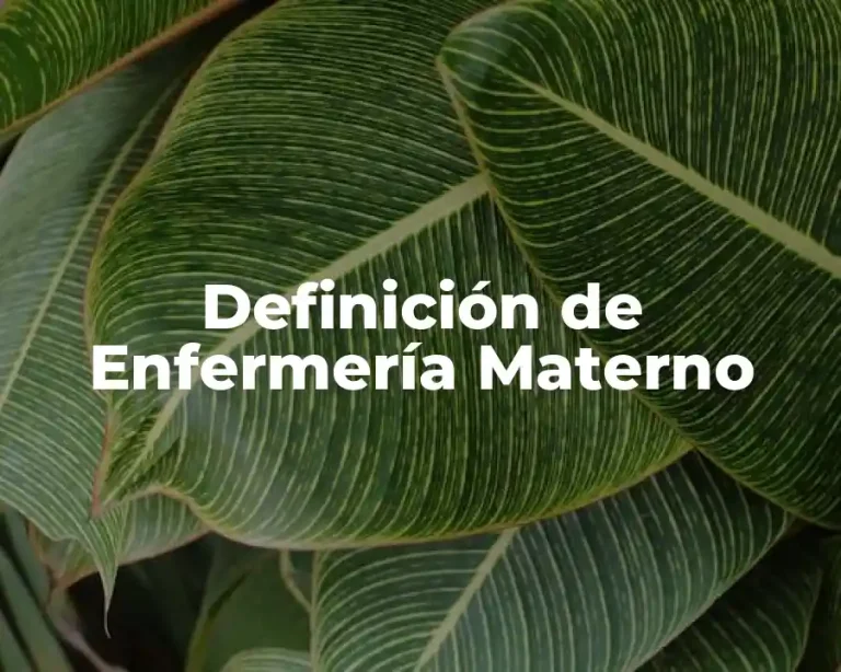 Definición de Enfermería Materno