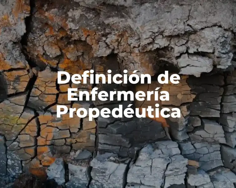 Definición de Enfermería Propedéutica