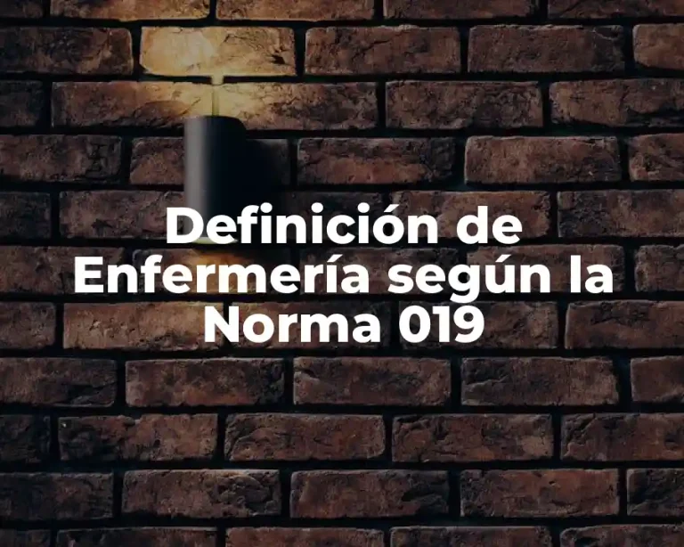 Definición de Enfermería según la Norma 019