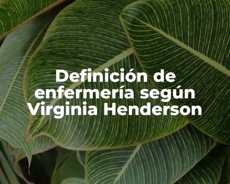 Definición de enfermería según Virginia Henderson