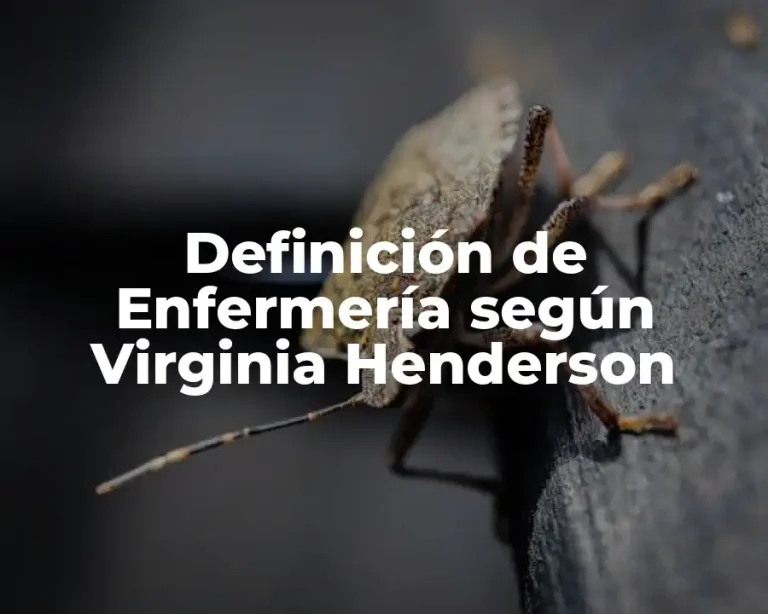 Definición de Enfermería según Virginia Henderson