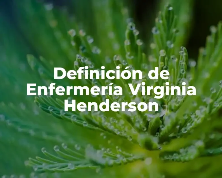Definición de Enfermería Virginia Henderson