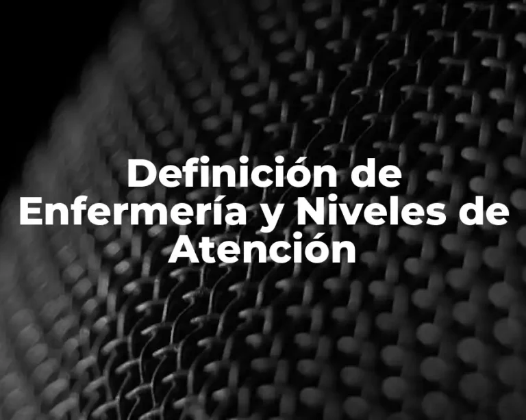 Definición de Enfermería y Niveles de Atención