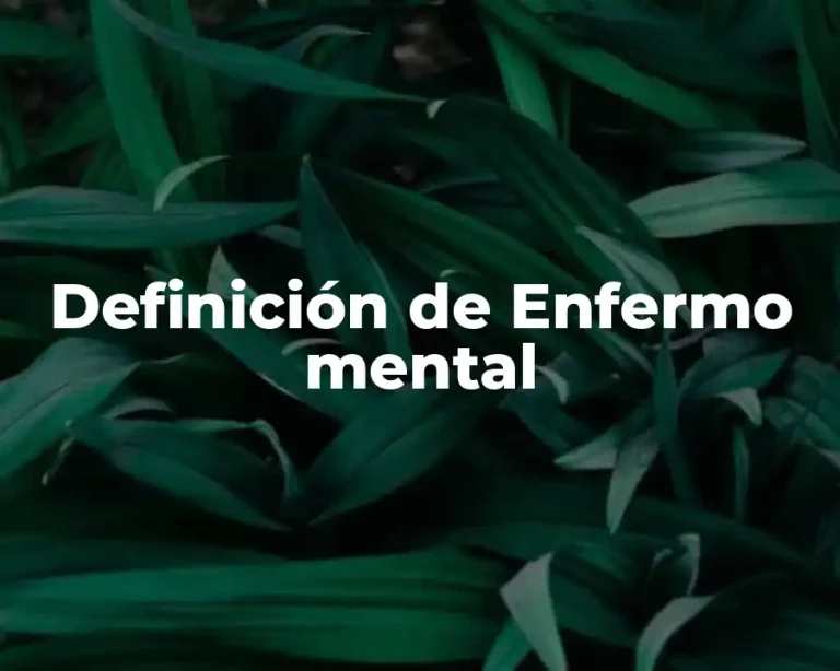 Definición de Enfermo mental