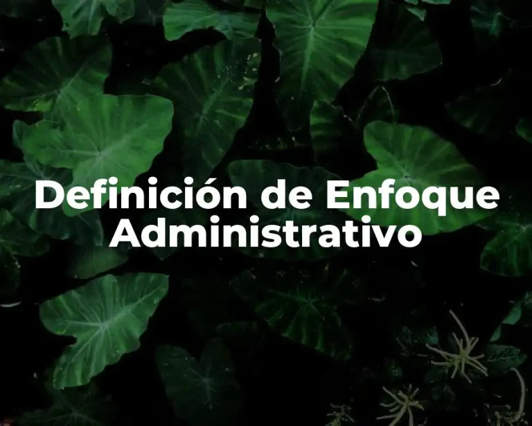 Definición de Enfoque Administrativo