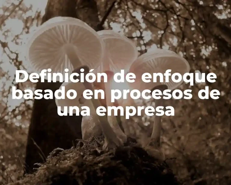 Definición de enfoque basado en procesos de una empresa