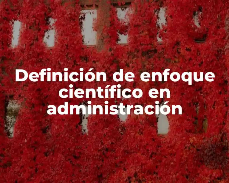 Definición de enfoque científico en administración
