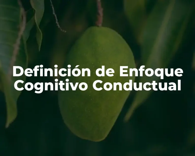 Definición de Enfoque Cognitivo Conductual
