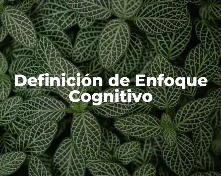 Definición de Enfoque Cognitivo