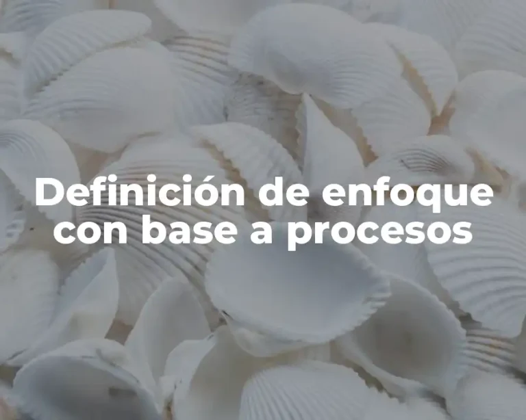 Definición de enfoque con base a procesos