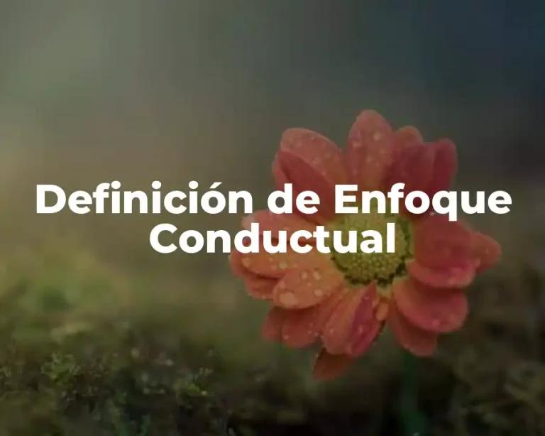 Definición de Enfoque Conductual