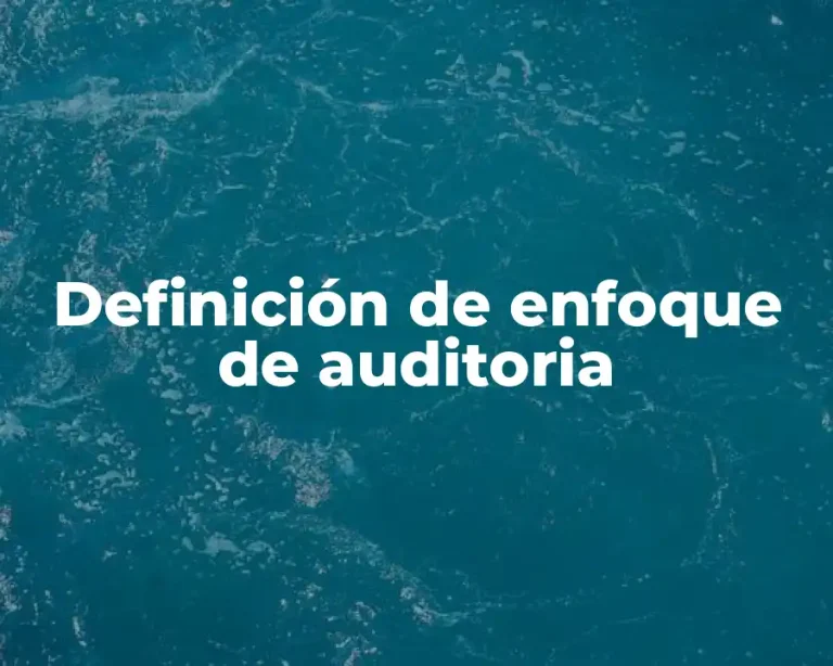 Definición de enfoque de auditoria