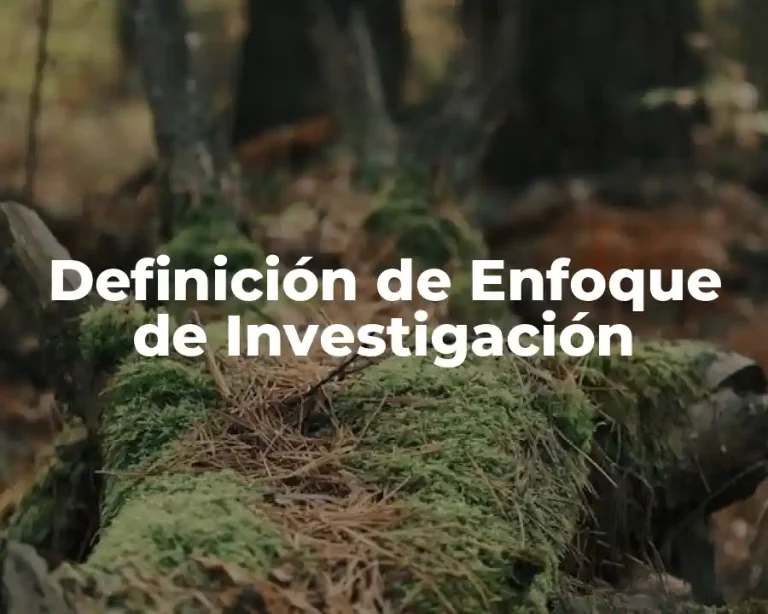 Definición de Enfoque de Investigación