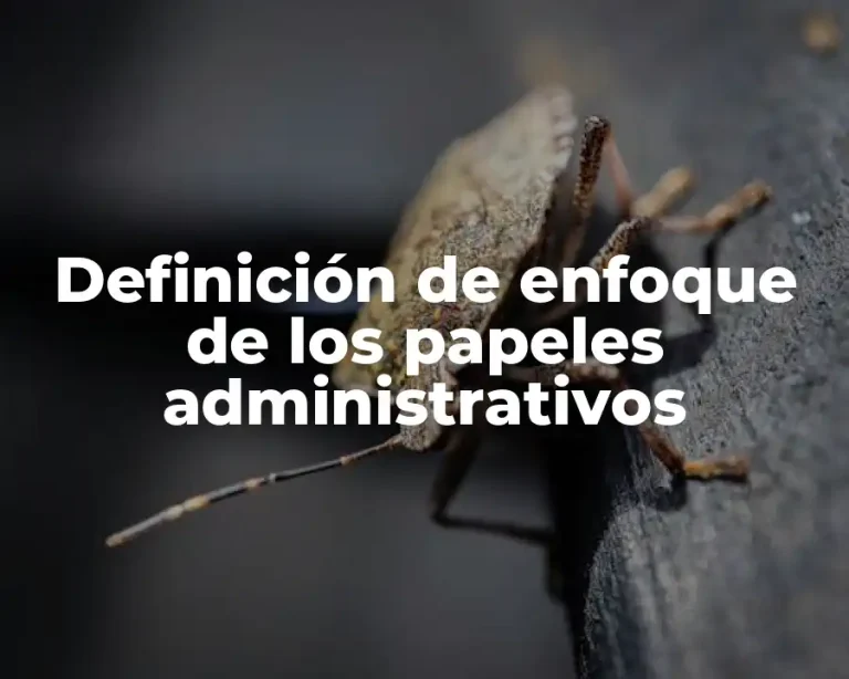 Definición de enfoque de los papeles administrativos