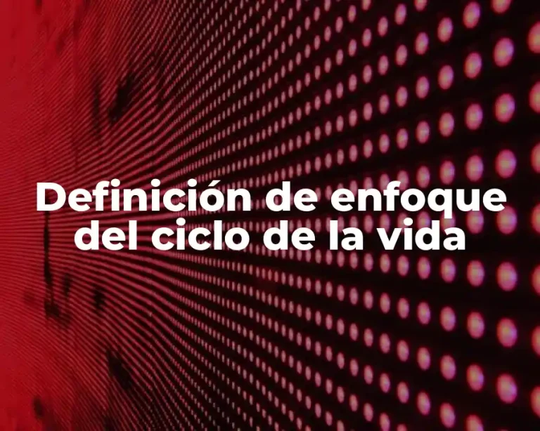 Definición de enfoque del ciclo de la vida