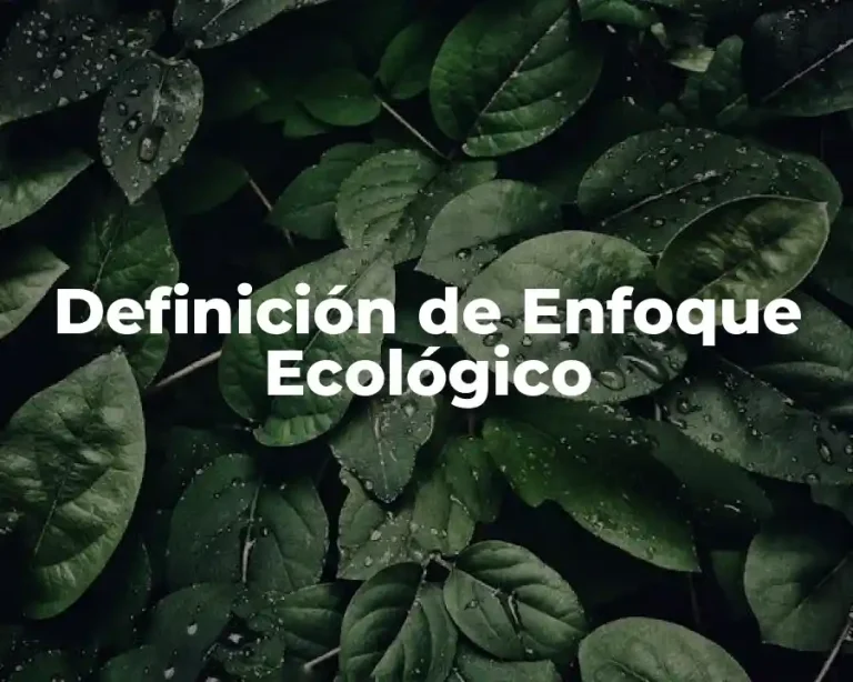 Definición de Enfoque Ecológico