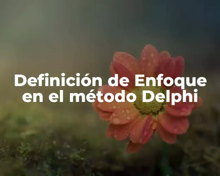 Definición de Enfoque en el método Delphi