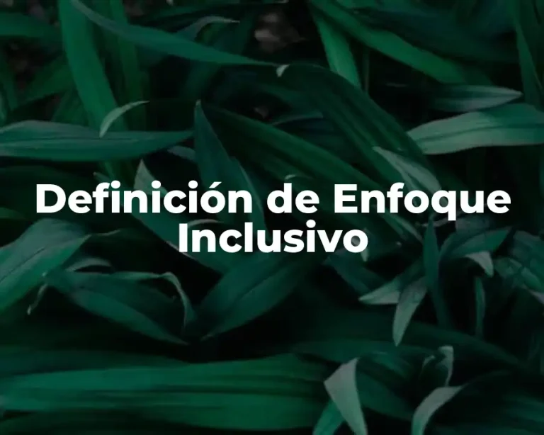 Definición de Enfoque Inclusivo