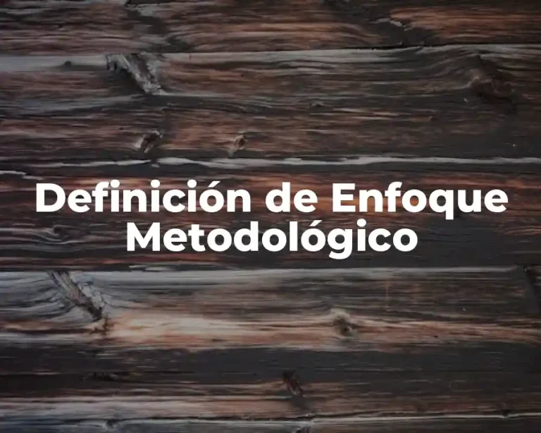 Definición de Enfoque Metodológico