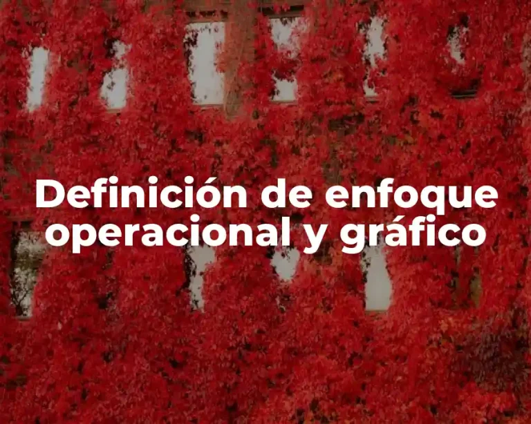 Definición de enfoque operacional y gráfico