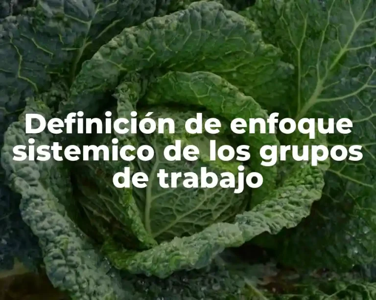 Definición de enfoque sistemico de los grupos de trabajo