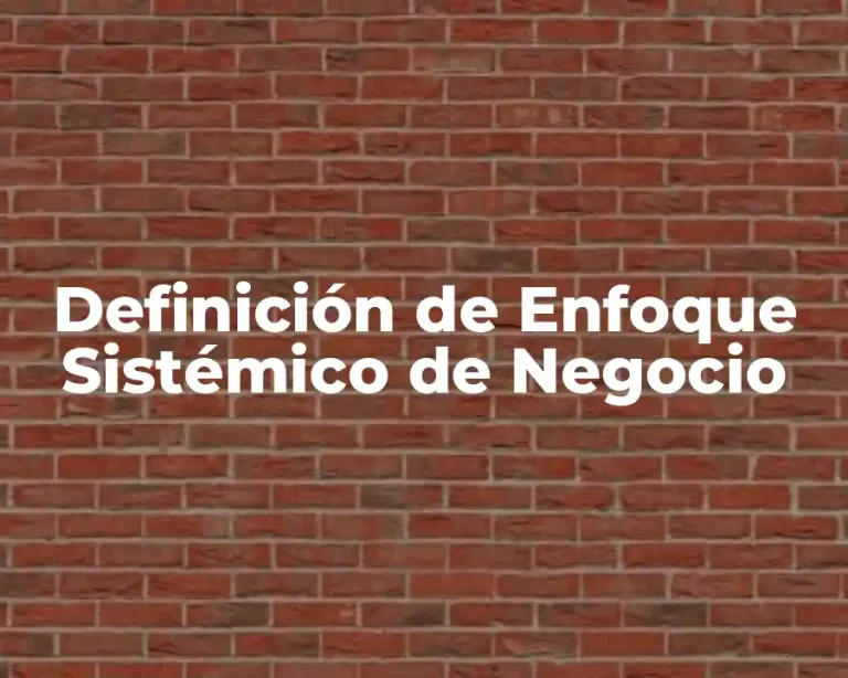 Definición de Enfoque Sistémico de Negocio
