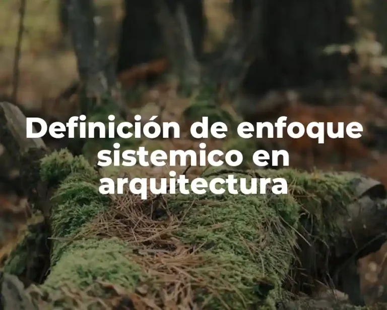 Definición de enfoque sistemico en arquitectura
